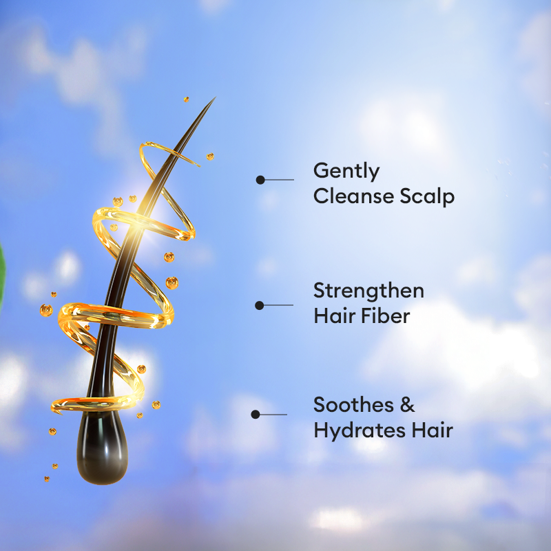 Anti Hair Fall Shampoo Benefits