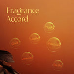 Load image into Gallery viewer, Ascend