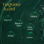 Load image into Gallery viewer, Aura